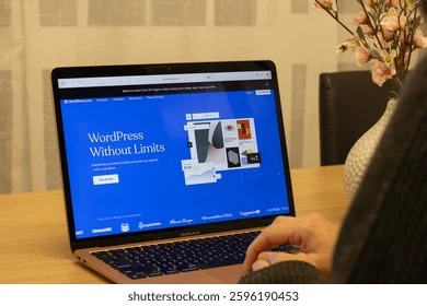 Custom WordPress development and responsive web engineering